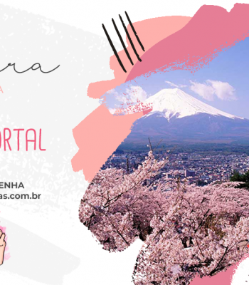 Sobre o Portal | Inauguração do novo site